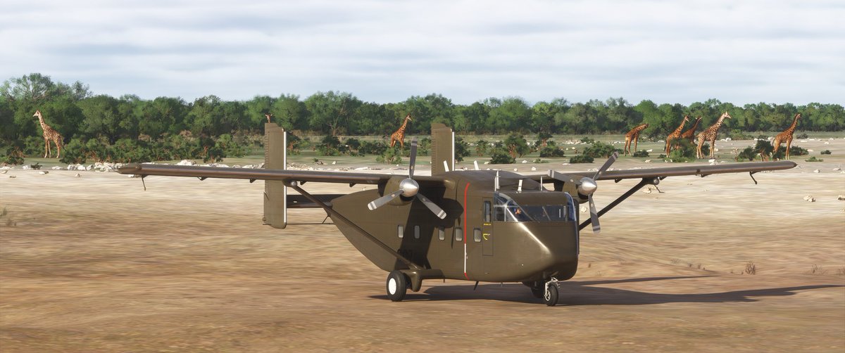 Fatcat742's tweet image. Quelque part en Namibie . 
#MSFS2024