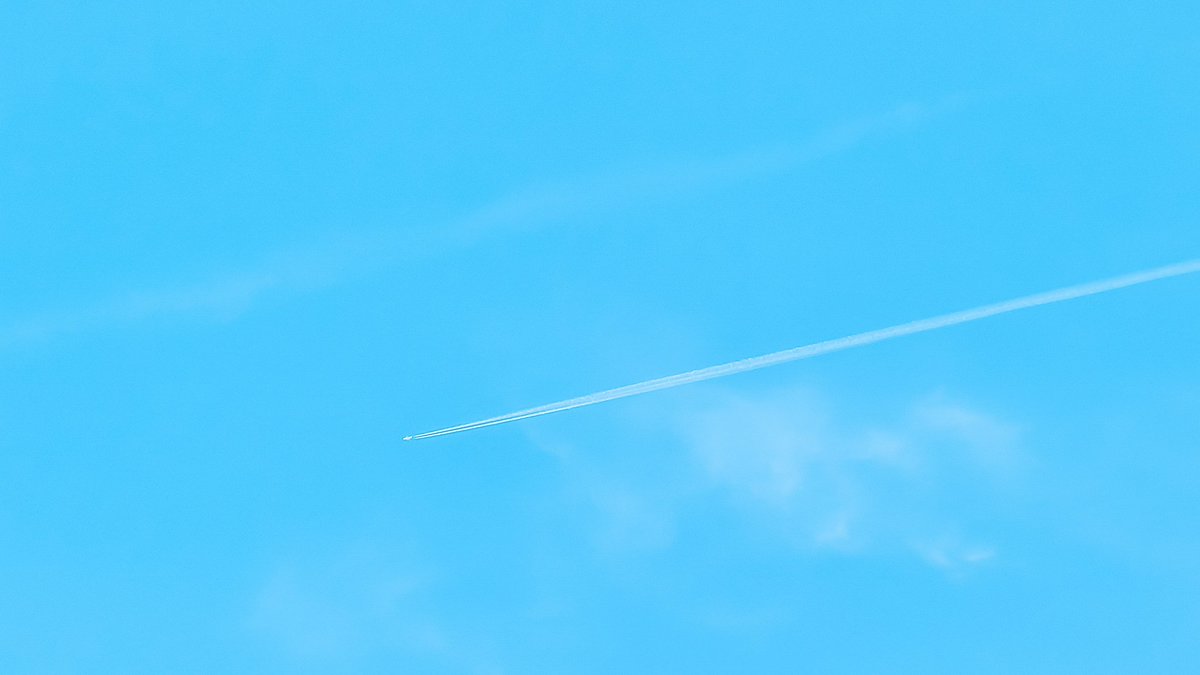 ふぉとぐらふ🍒✨清夏P tweet media