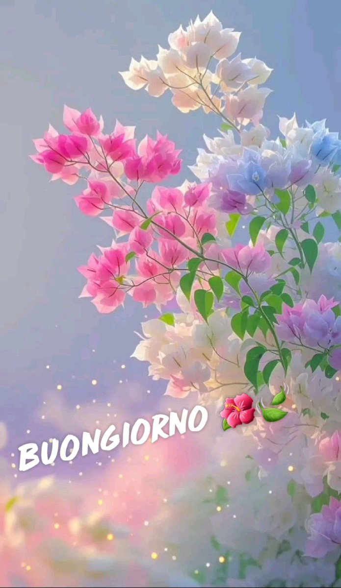 Cristiana tweet media