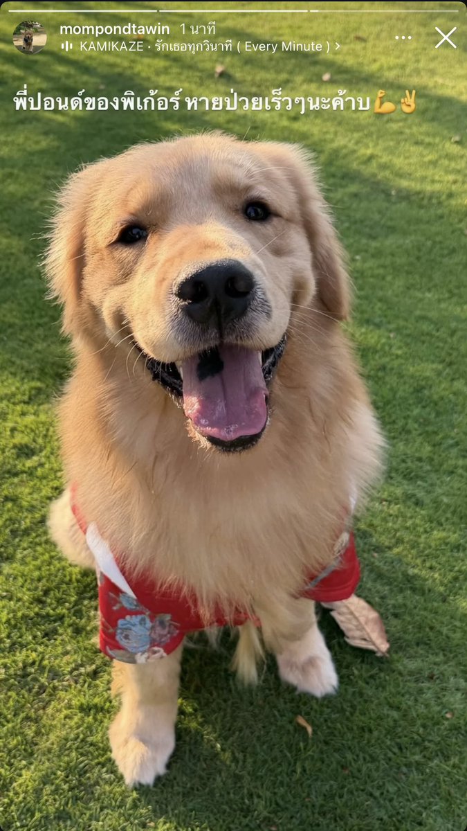 ☀️🌚 จ้วมเจี้ยม 🌝☀️ tweet media