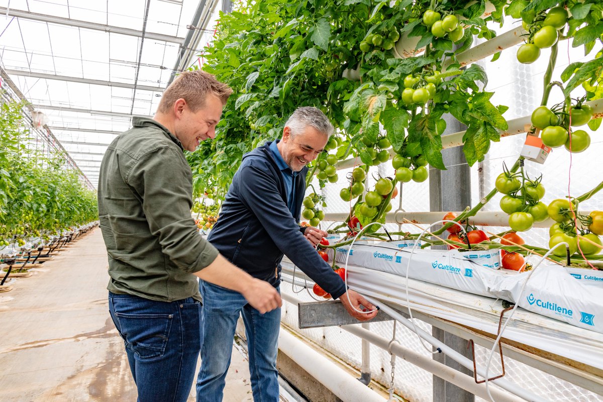 VanIperenBV's tweet photo. Samen sterk, elke dag 🎉
Vandaag is het Nationale Collegadag. Een mooi moment om stil te staan bij de mensen met wie je elke dag samenwerkt. Samen doelen bereiken, elkaar helpen en bouwen aan iets waar je trots op kunt zijn. Juist die samenwerking en betrokkenheid maken elke dag het verschil.

Bij Van Iperen doen we het samen. Met korte lijnen, een nuchtere mentaliteit en collega’s die voor elkaar klaarstaan. Al sinds 1921 werken we aan de groei van gezonde gewassen én aan de ontwikkeling van onze mensen.

Uiteindelijk zijn het de collega’s die het verschil maken. Misschien sta jij hier volgend jaar ook tussen: in de boomgaard, op het veld, in de kas, tussen de bloembollen, op het sportveld of op kantoor. Jij bepaalt het.
#collegadag #nationalecollegadag #werkenbij #teamwork #samensterk #vaniperen #agrarisch #tuinbouw