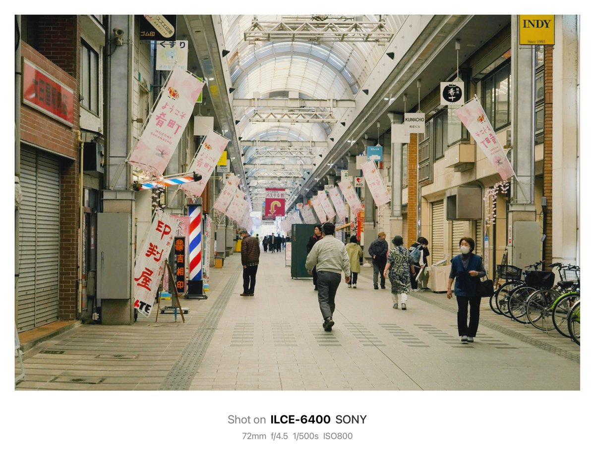 晴芽 ハルメ 🌱 tweet media