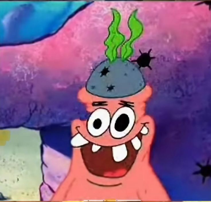 🍐🅰️ tweet media