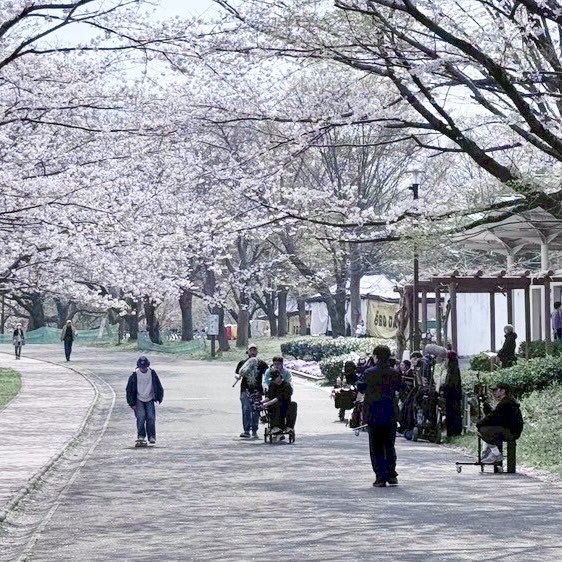 武田かりん tweet media