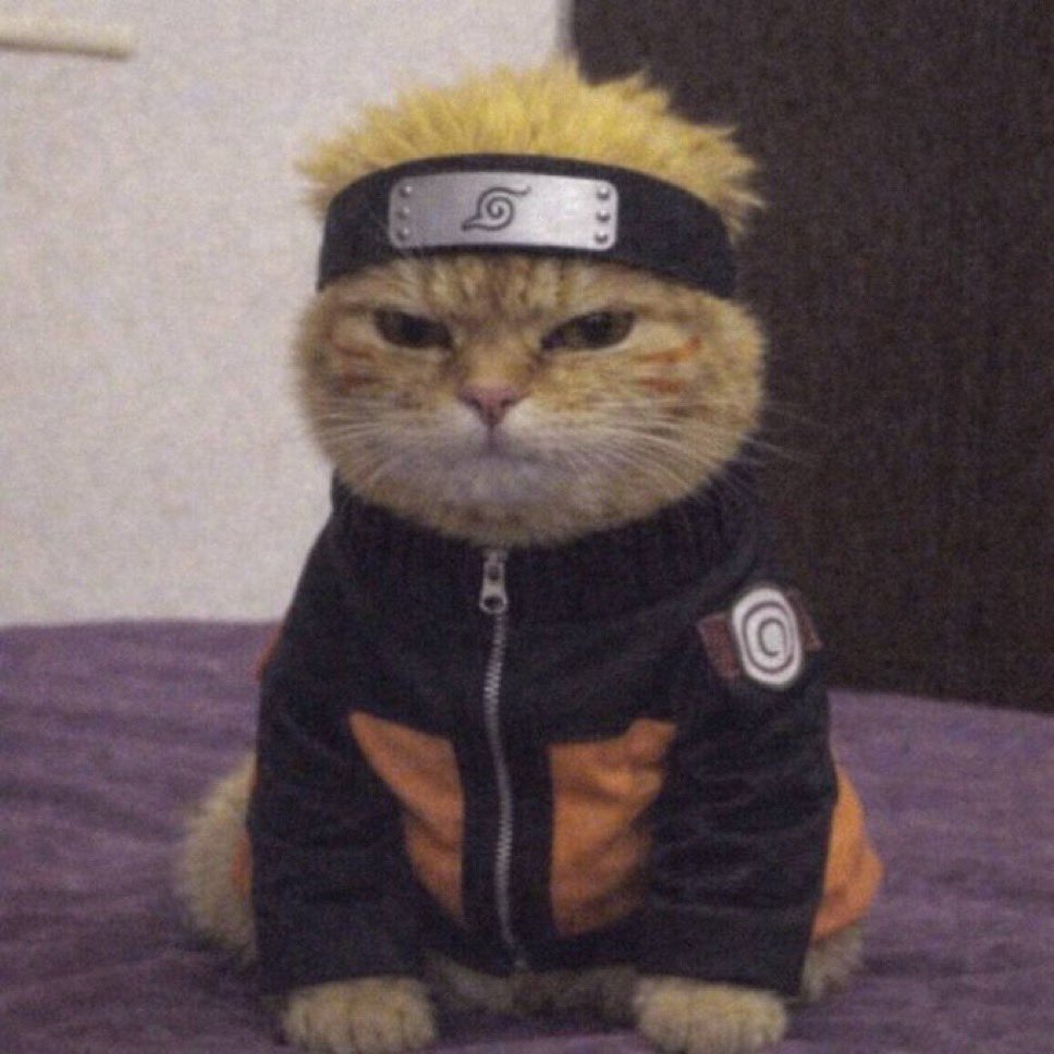 John Wick tweet media