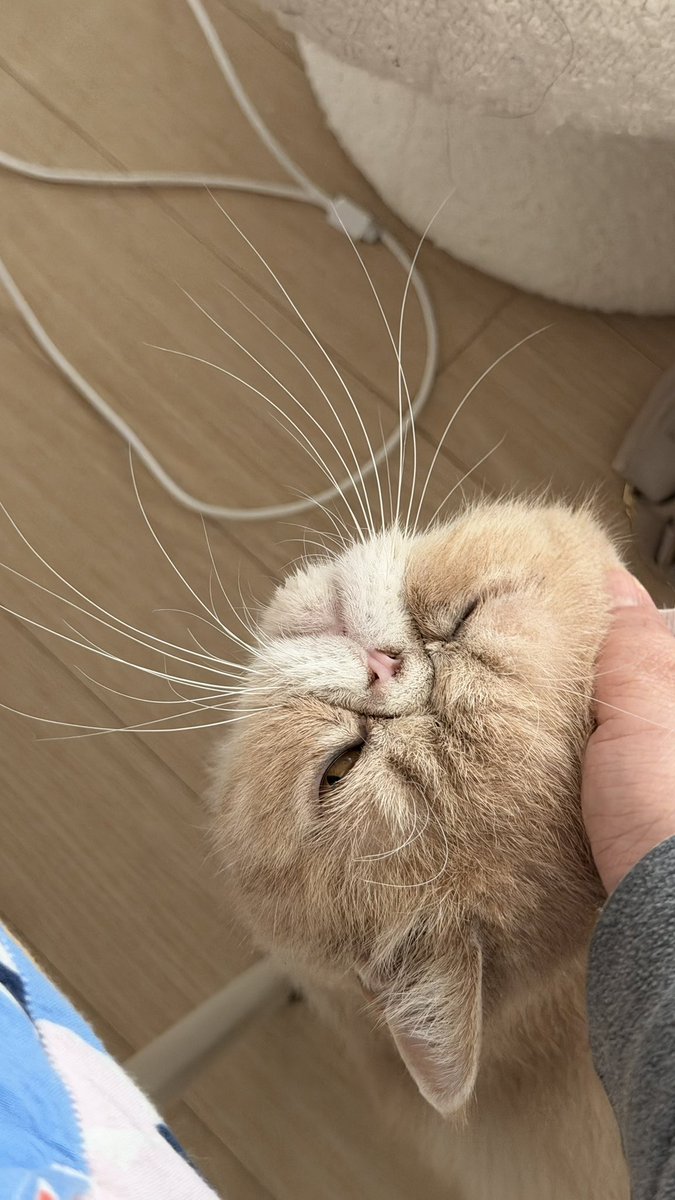 Lee, S. R. tweet media