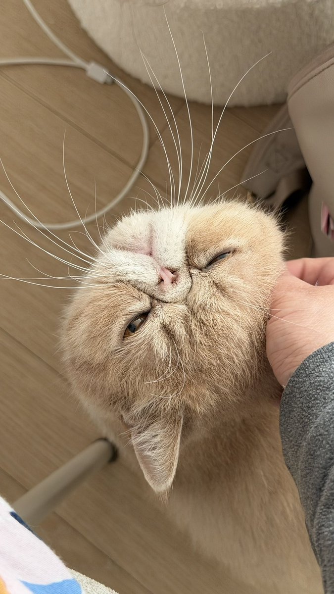 Lee, S. R. tweet media