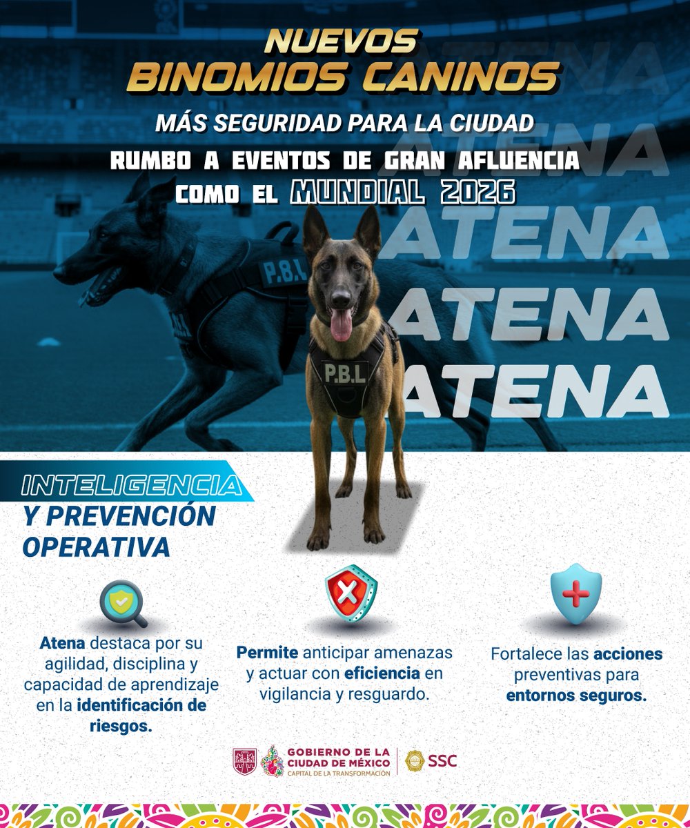 SSC CDMX tweet media