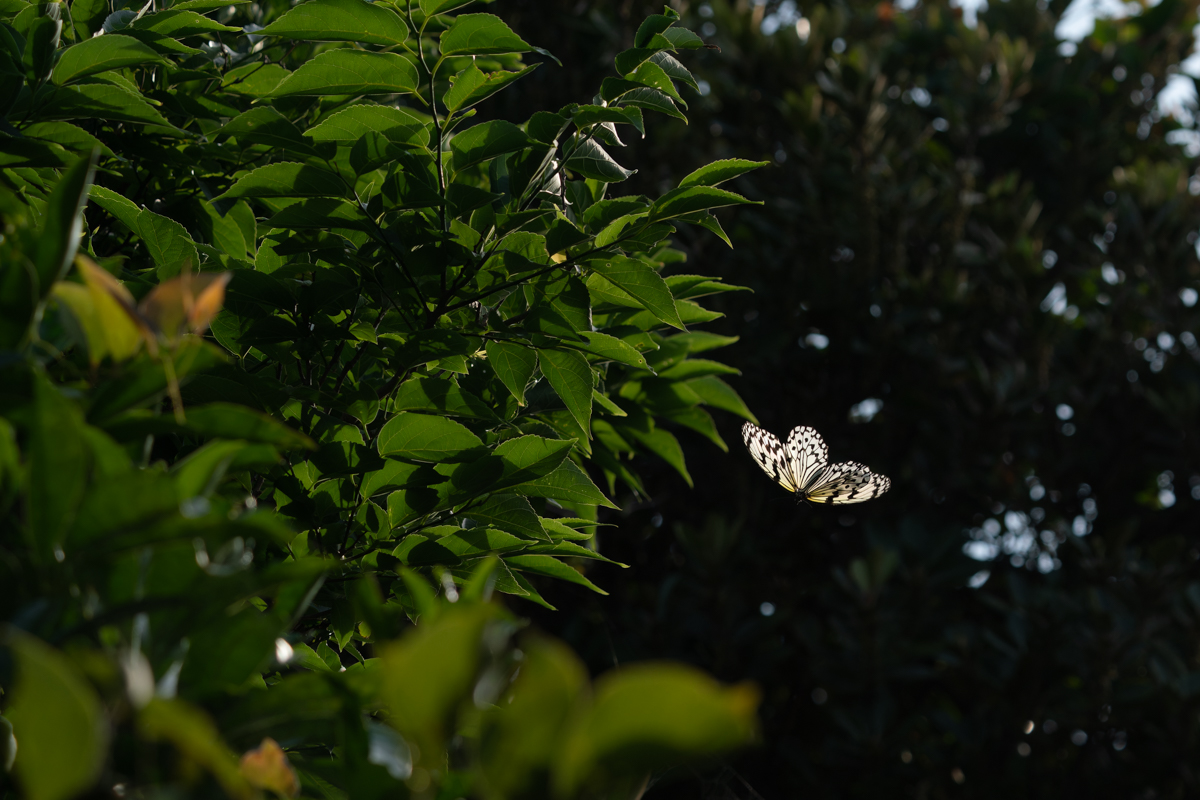Sony Imaging Gallery tweet media