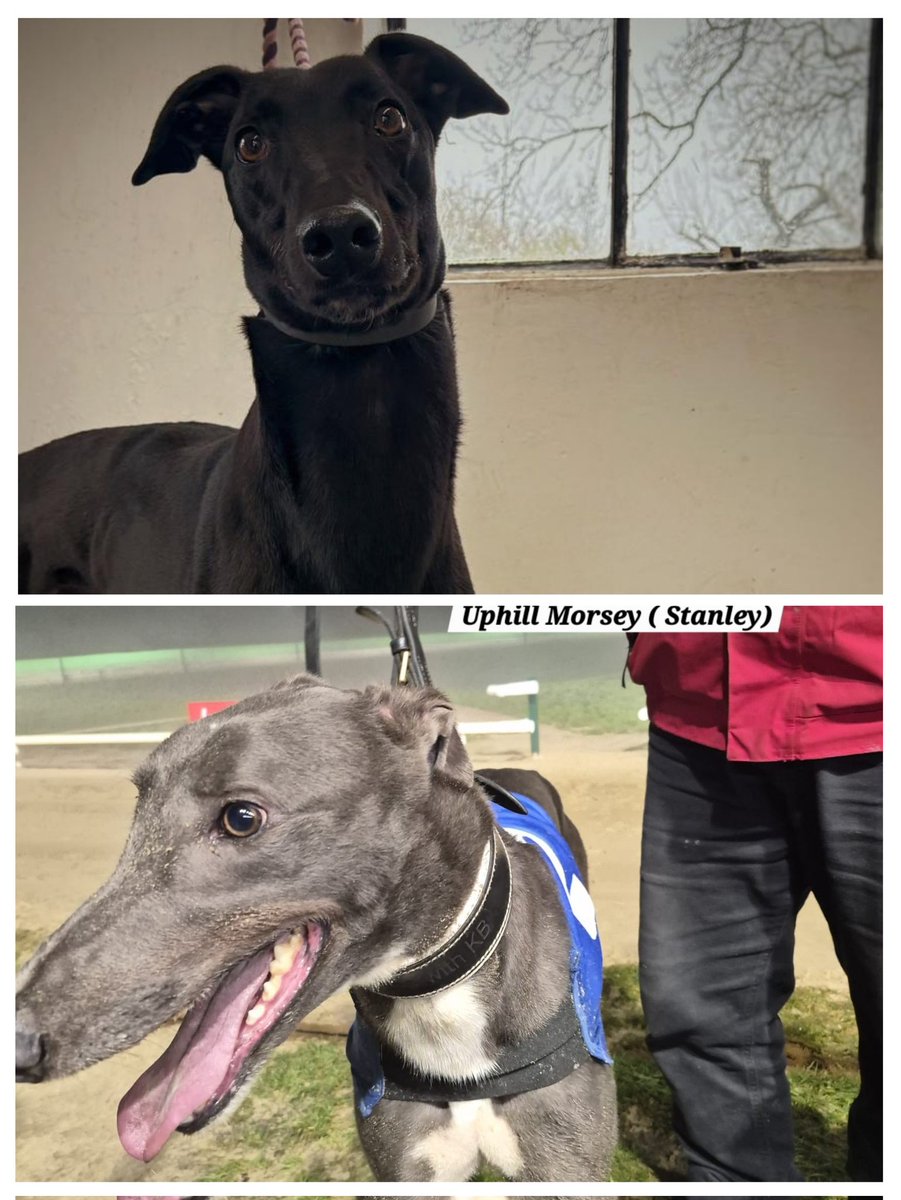 Paul Wing 🏆🏆🏆 🏆🏆🏆 tweet media