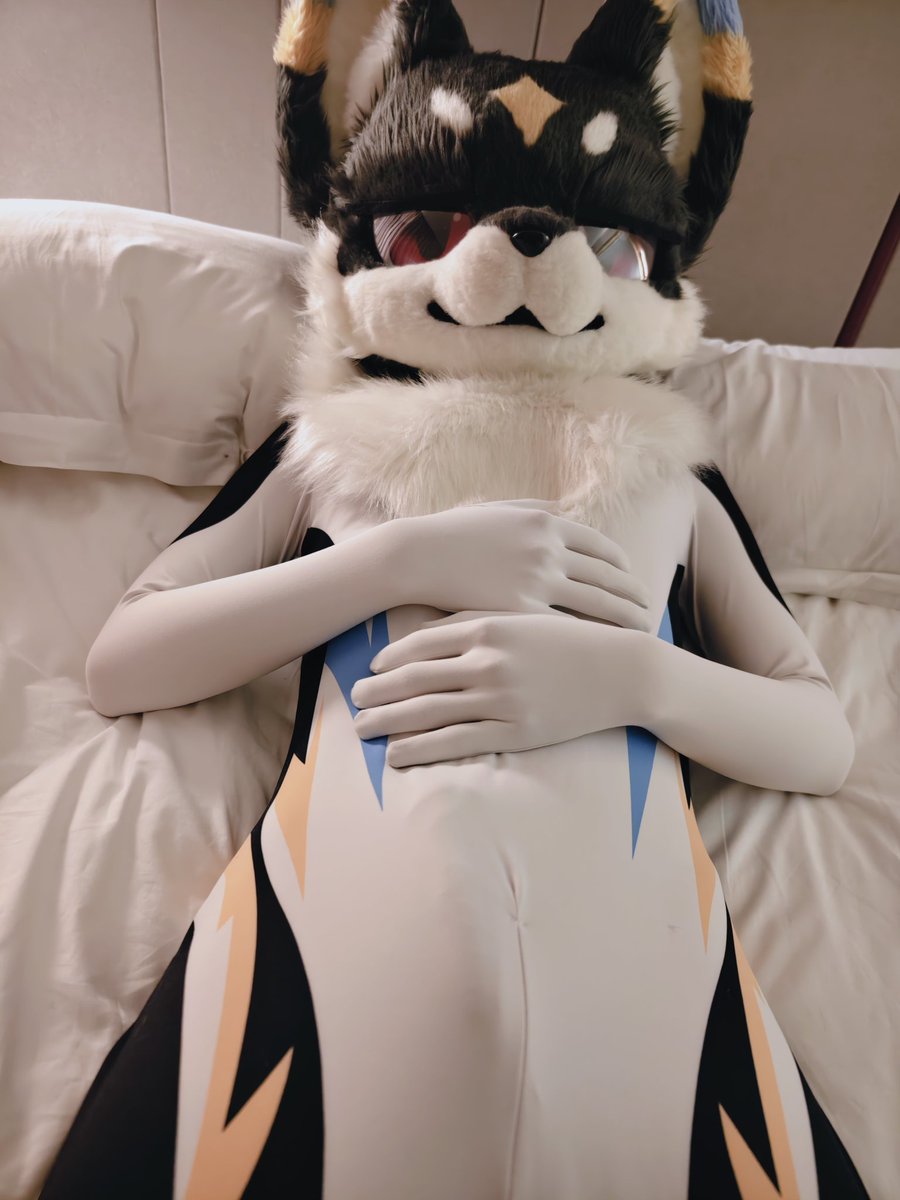 柴小鱼 tweet media