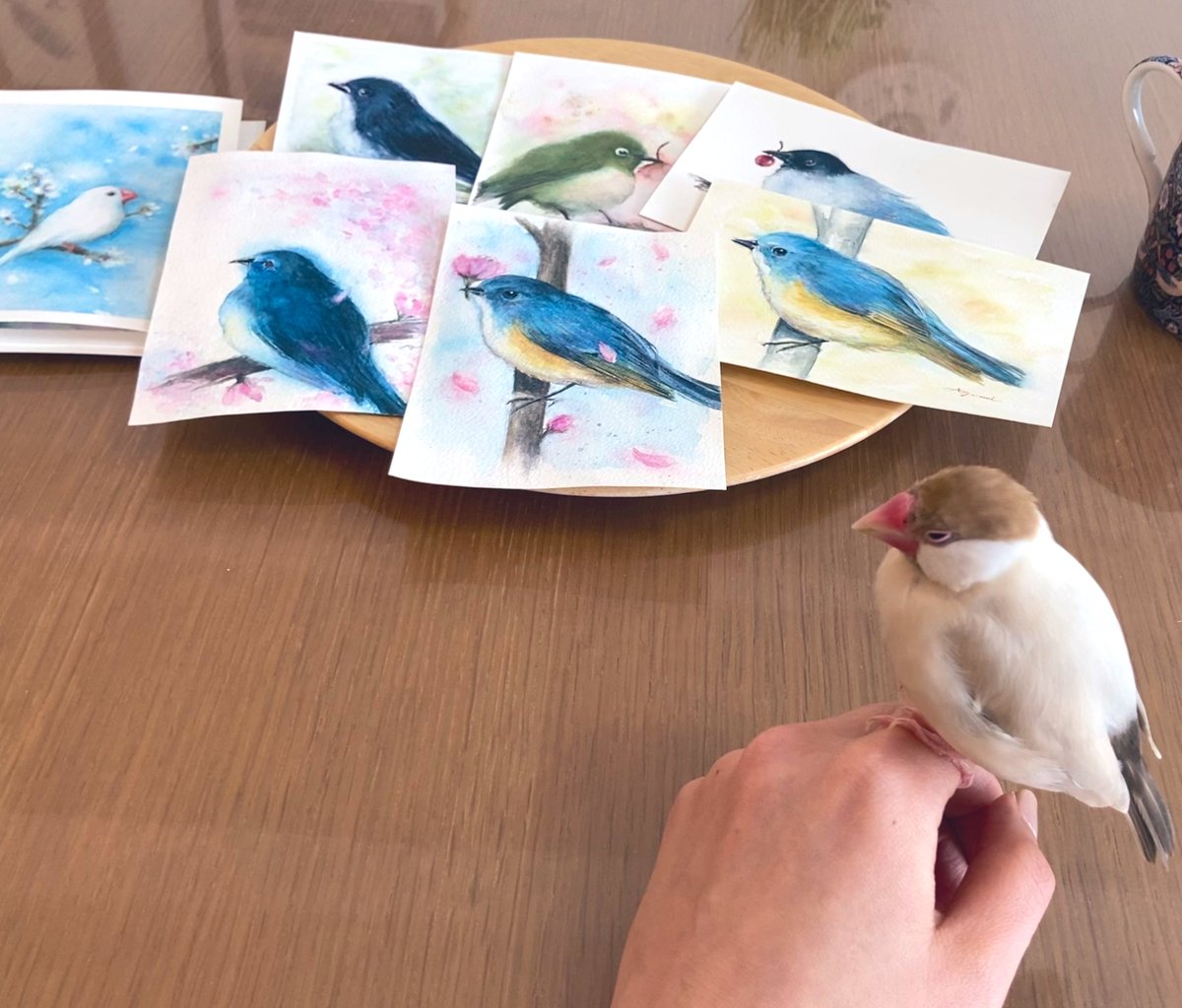 あゆみ tweet media