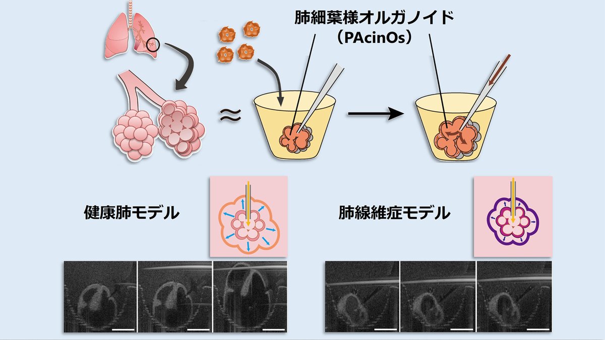 東京大学 生産技術研究所 tweet media