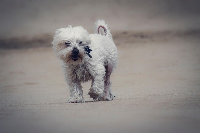 Cameron Trejaun tweet media