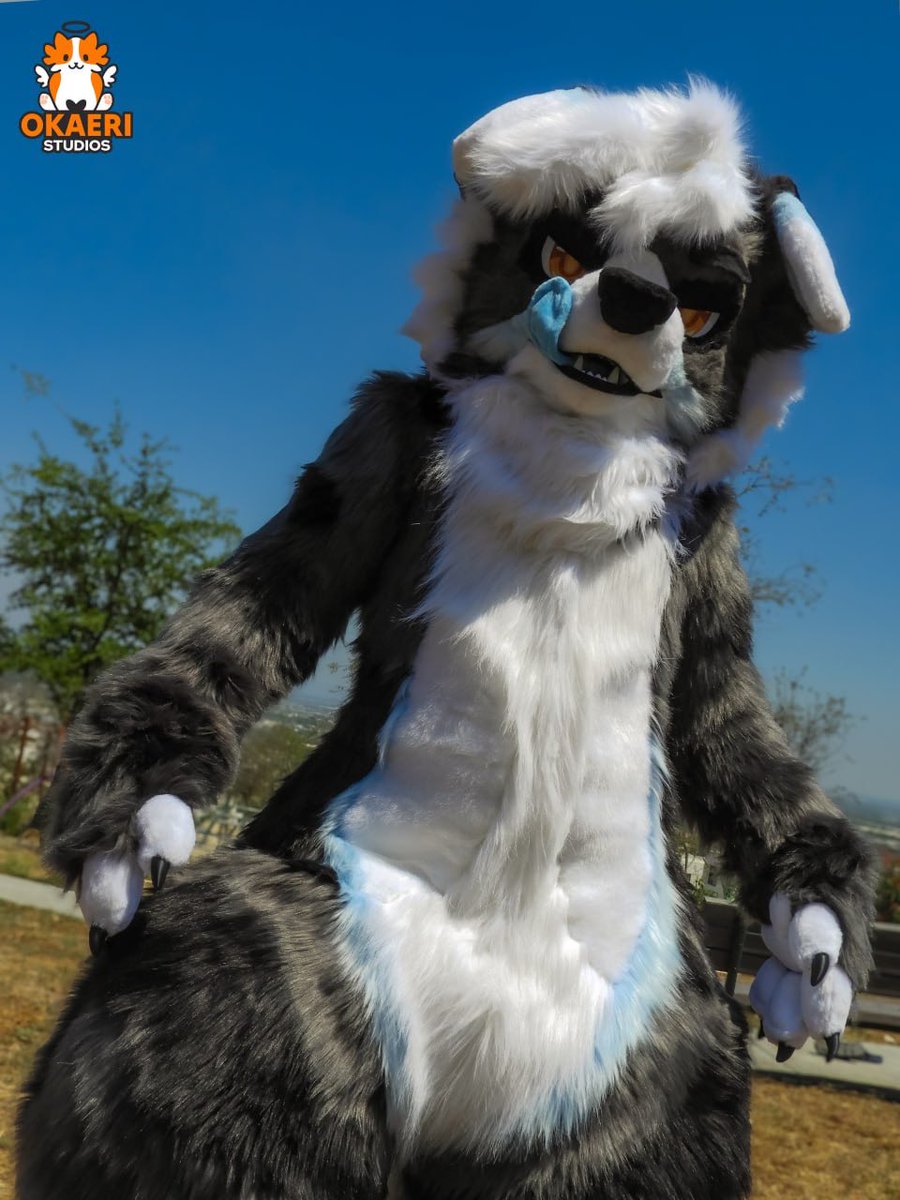 🐱 Okaeri Studios 🐱 tweet media