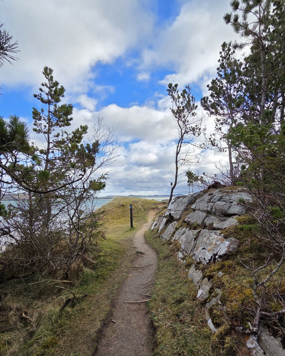 Inish View tweet media