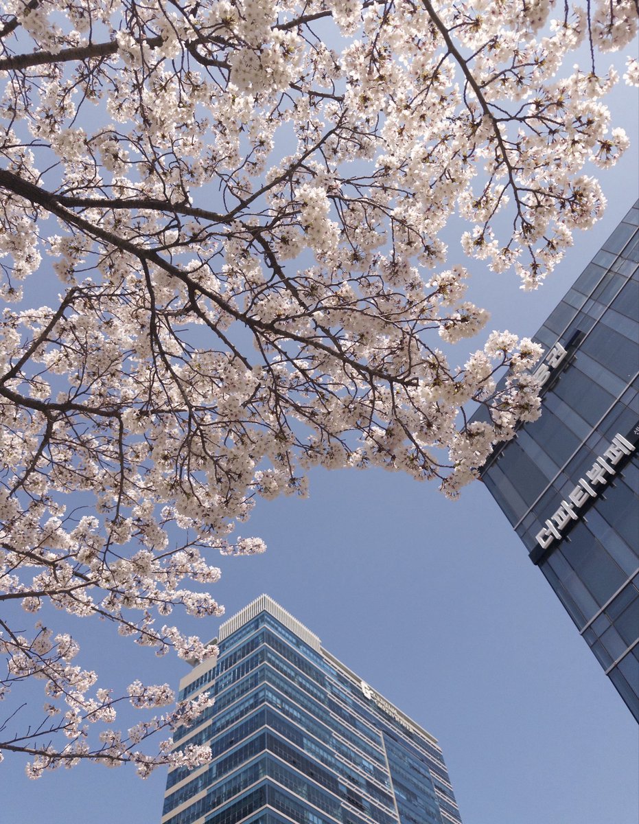 왈라리왈라얄라셩 tweet media