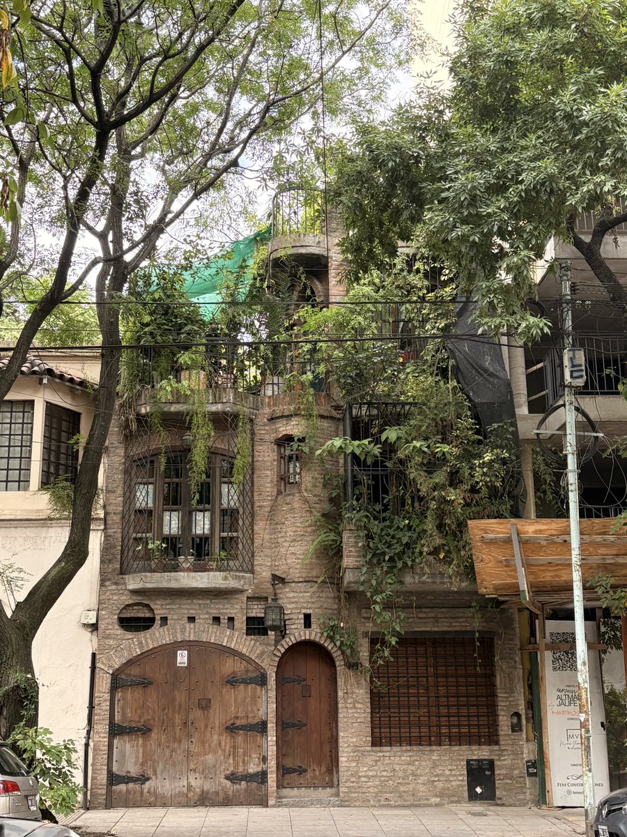 Guillermina tweet media