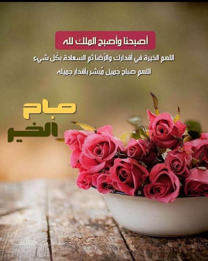 خيال شاعره tweet media