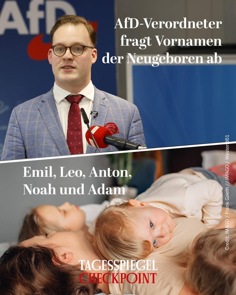 ℝ𝕦𝕞𝕡𝕖𝕝𝕣𝕒𝕥𝕫 📸 tweet media