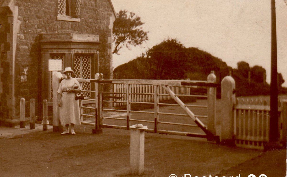 Ian Lindsay tweet media