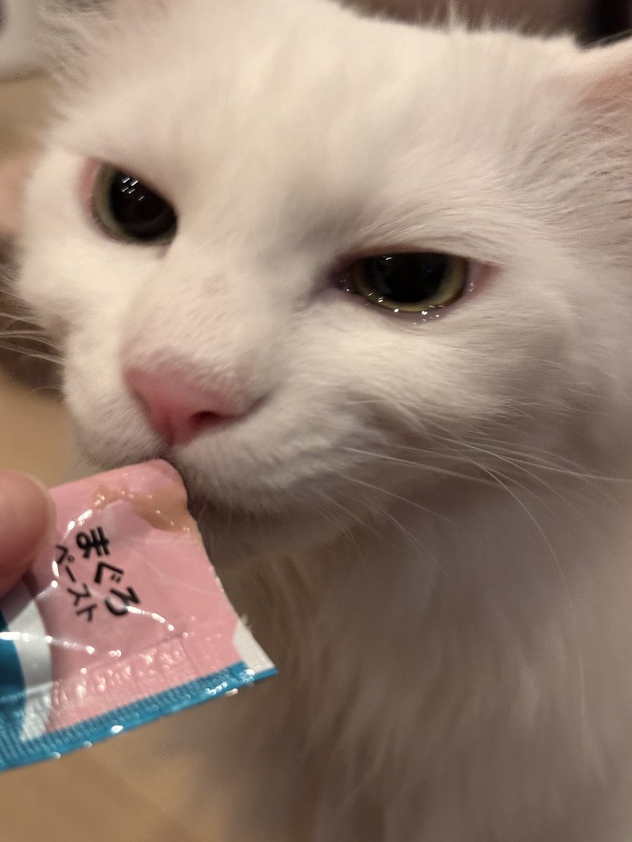 𝘕⧹ₐᵐⅇ ɱ｡₥öᵢ tweet media