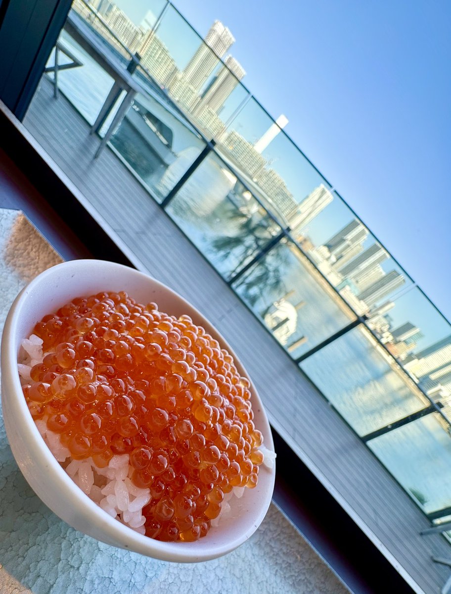 ドMっち (+Risutaru tweet media