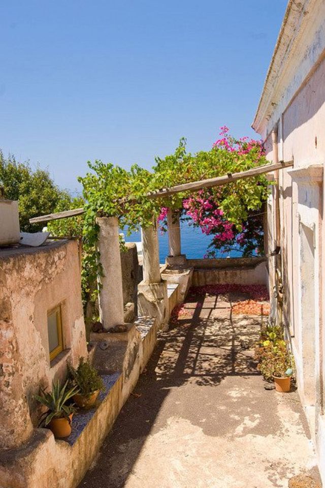 عبدالعزيز بن سالم🇴🇲𝕏 tweet media