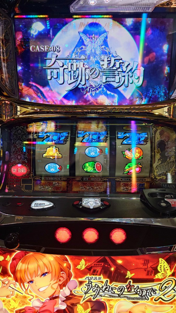 🎀🦍ちろちゃん@腕力ゴリラ🦍🎀 tweet media