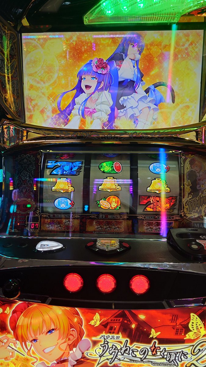 🎀🦍ちろちゃん@腕力ゴリラ🦍🎀 tweet media