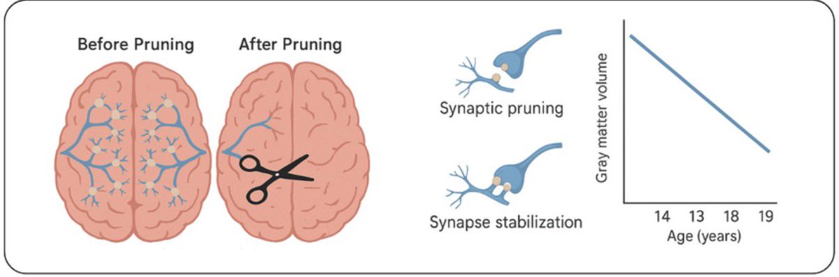 Big Chops tweet media