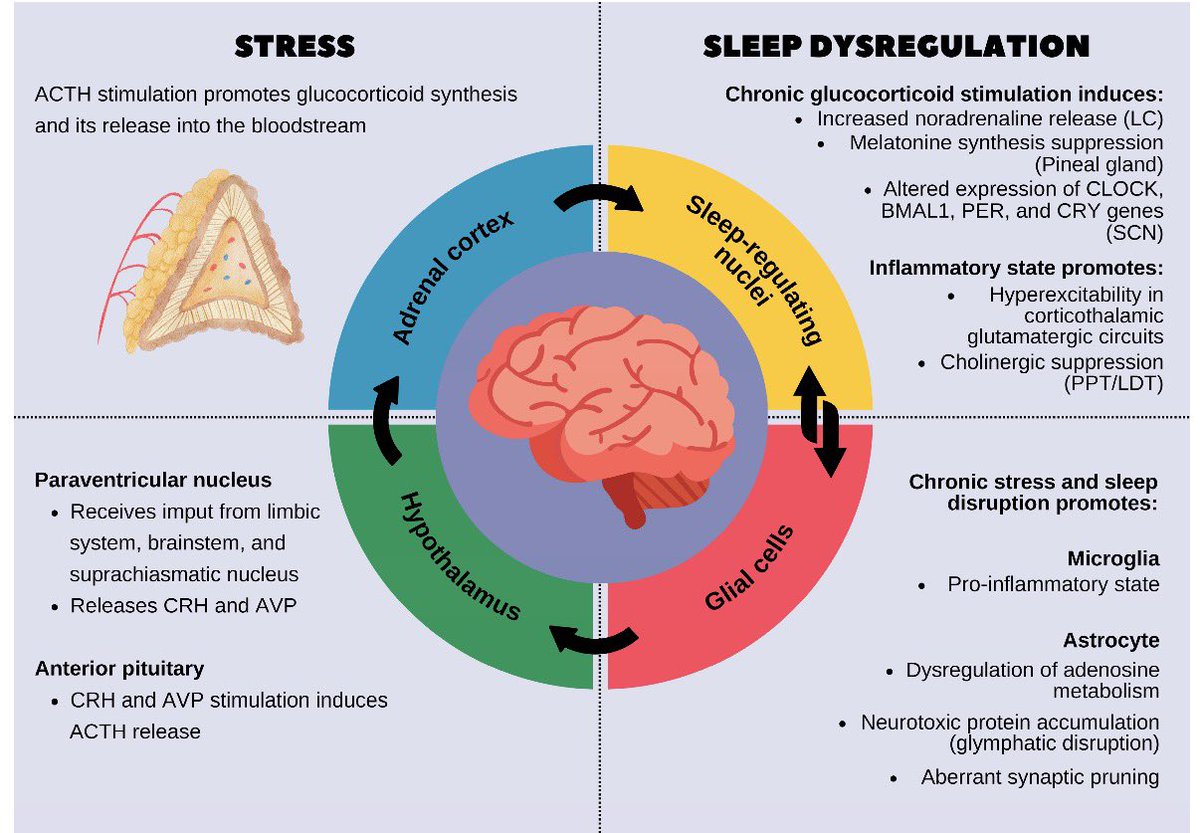 Big Chops tweet media