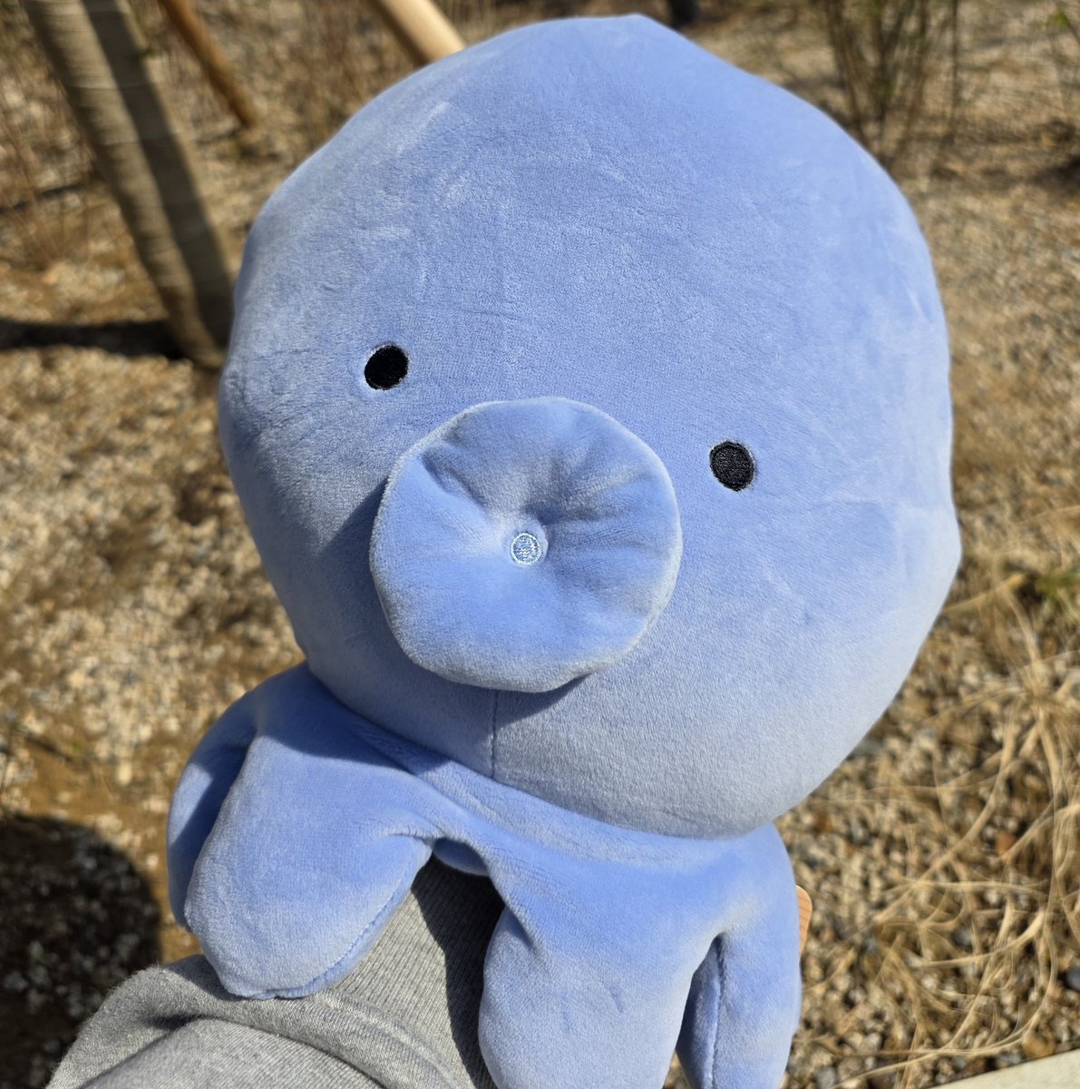 🕯인장씨🌵 tweet media