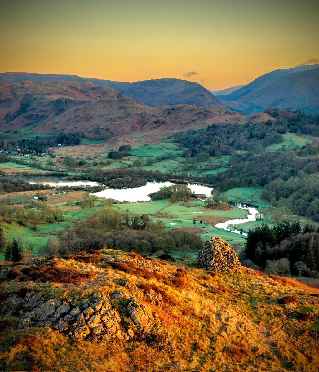 Rod Hutchinson tweet media