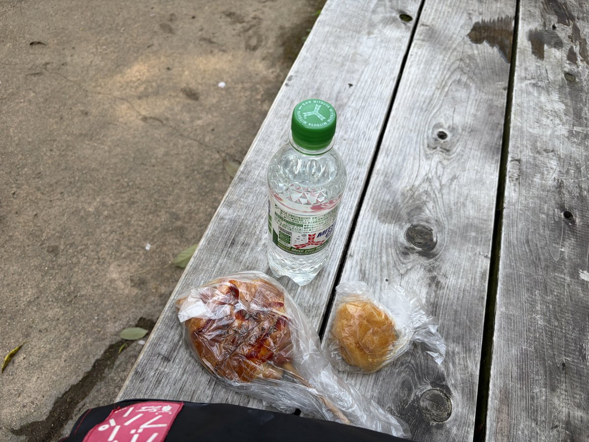 やりにげ 🔖️🛜️🎹️🧪️🪐️☕️ tweet media