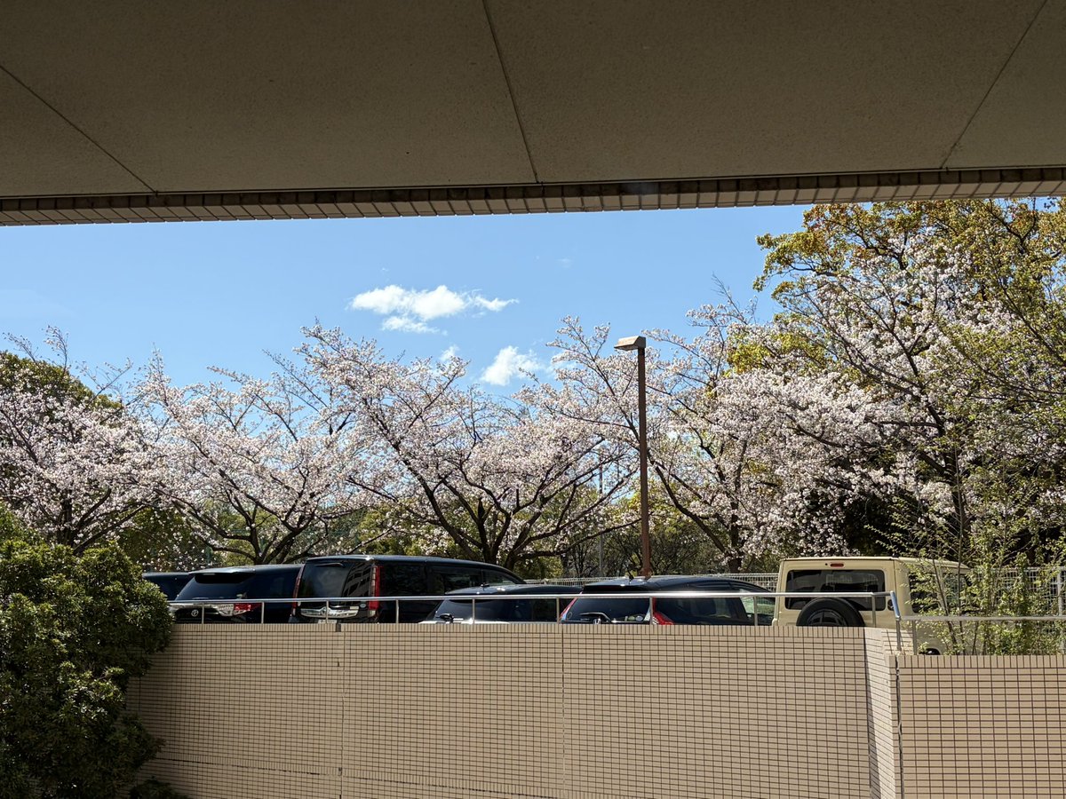 puriara26's tweet photo. 本日通院日🏥
採血と内診だけの日でしたが無事にマーカークリアでき、次回の診察までの間に3年目に突入できそうです🙂
6ヶ月ごとのCTも9ヶ月ごとになる予定となりました。
とりあえずここ数日の不安から解放されてホッとした🌸 https://t.co/TSFO5n6ru3