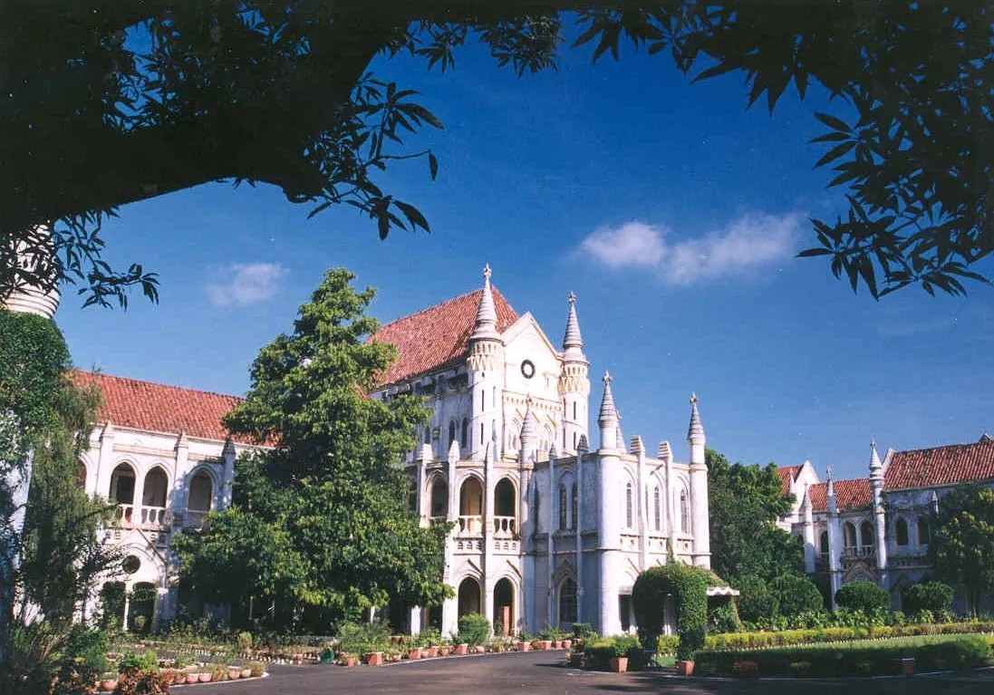 Neo Politico tweet media