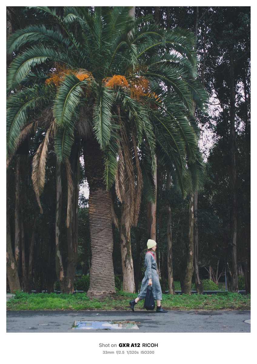 crazydo_camera's tweet image. 昨日、夢の島で撮れたスナップ
GXR良いでしょ

#GXR #RICOH