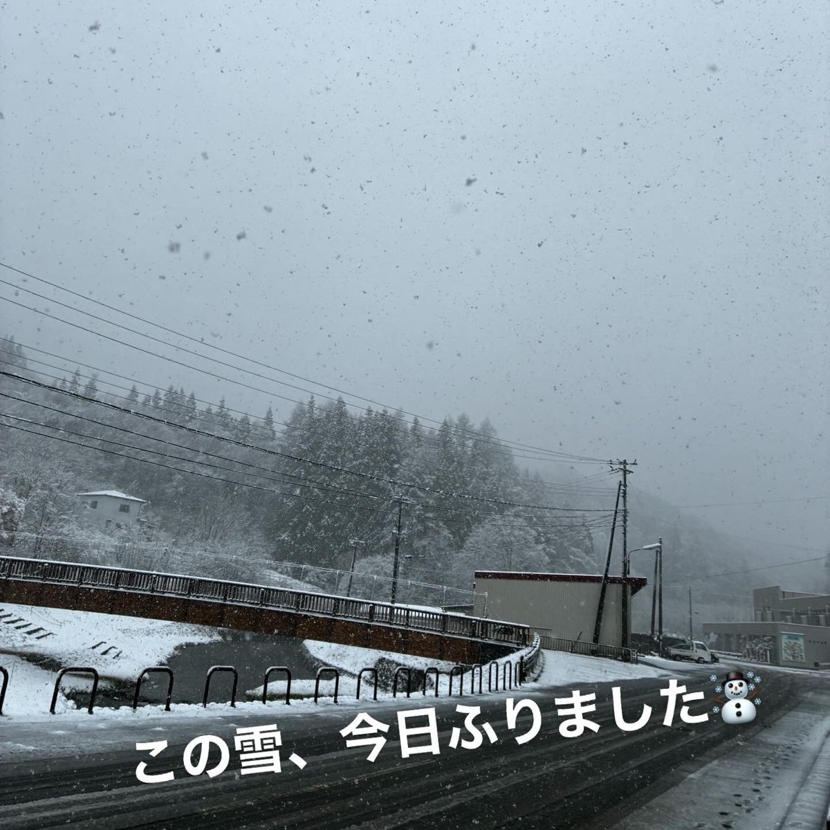 青森県新郷村（しんごうむら）公式 tweet media