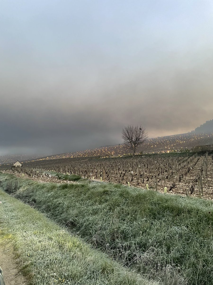 meteo_89's tweet image. 🥶🌱 Les vignerons du Chablisien viennent d’essuyer une troisième nuit de #gel en une semaine. La température s’est abaissée jusqu’à -3.1°C ce jeudi matin. 

📸 G. Montenegro &amp;amp; T. Beaucamp. #Yonne #Chablis