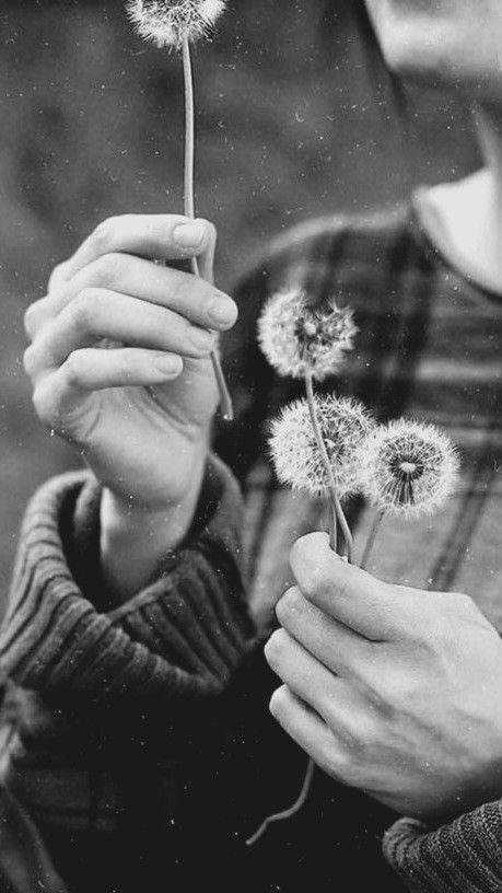 Sladjana73 tweet media