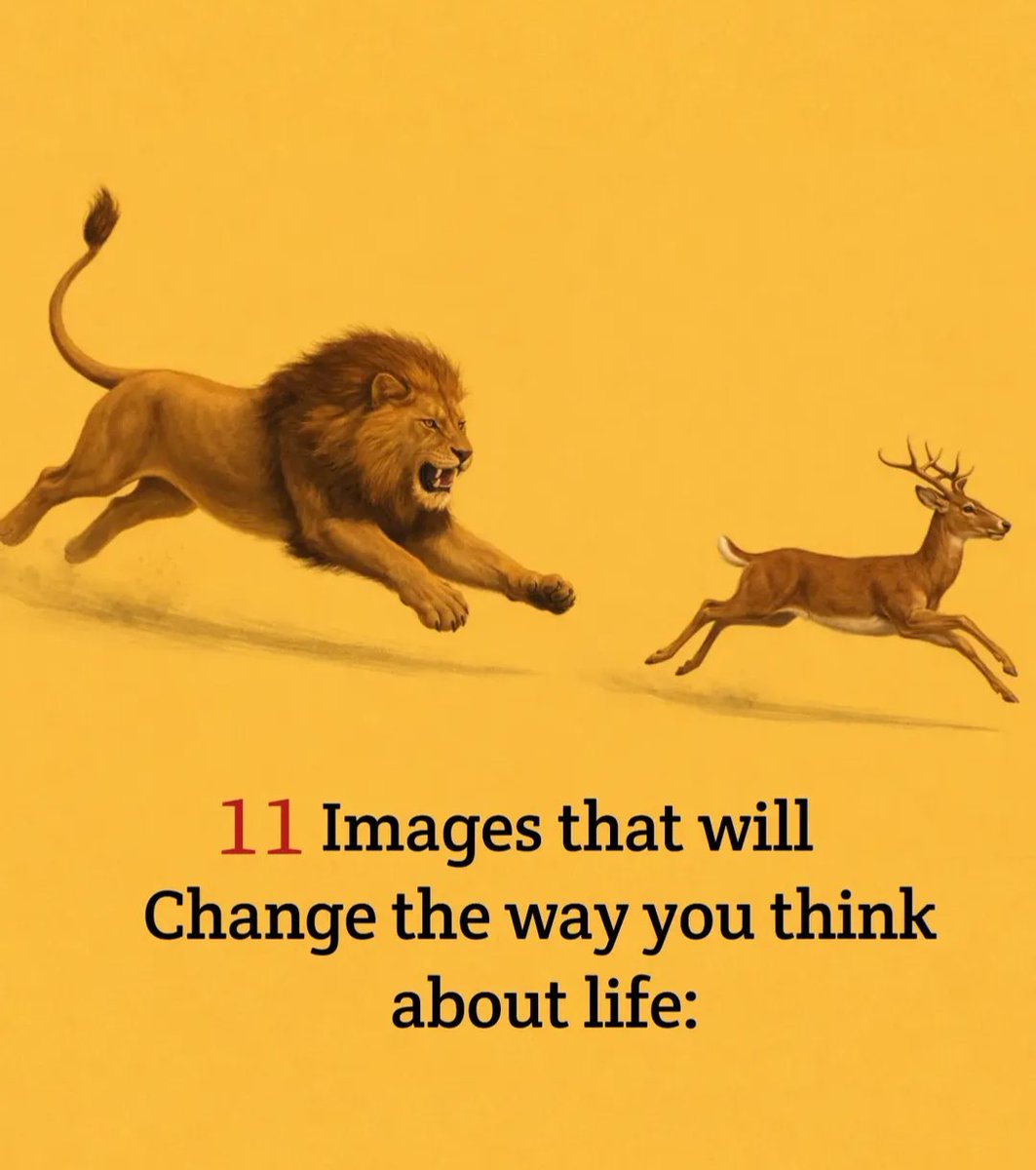 KnowledgeOfOld's tweet photo. 11 Images That Will Change The Way You Think About Life: https://t.co/vPBgXJNbxU