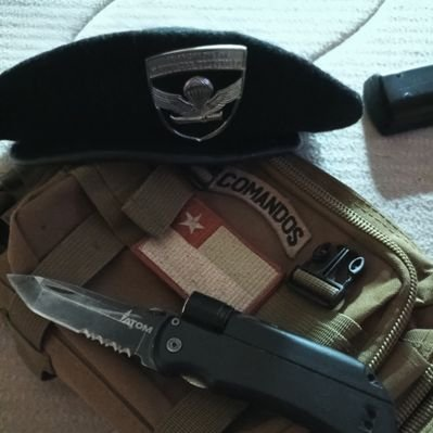 PureChile 𝕏 tweet media