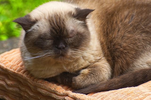 Darius Arrington tweet media