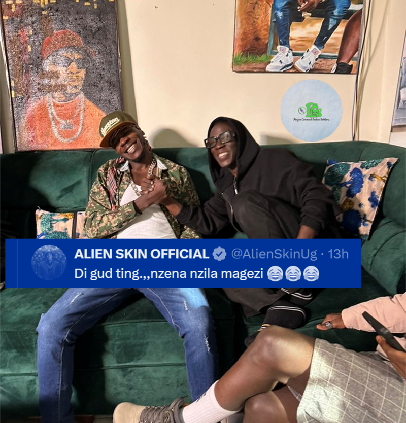 Fangone Comment Section tweet media