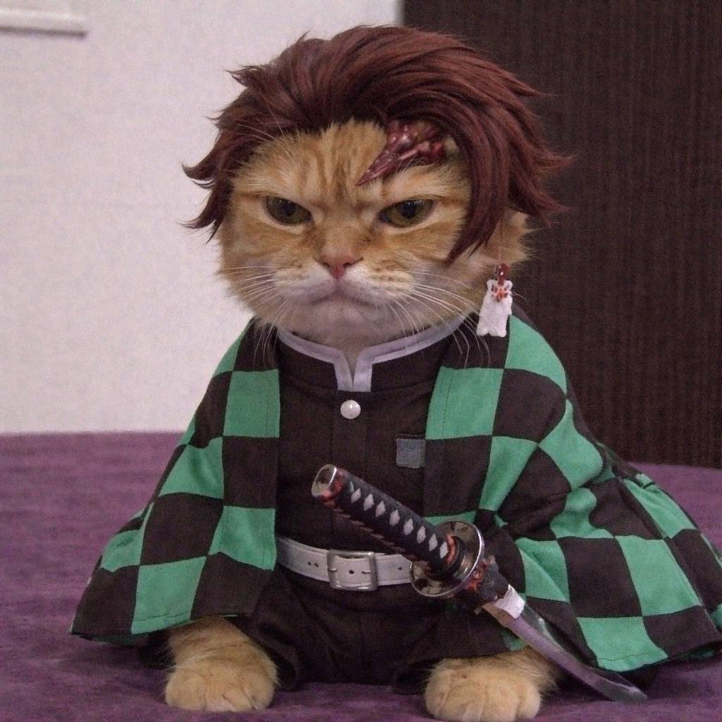 John Wick tweet media