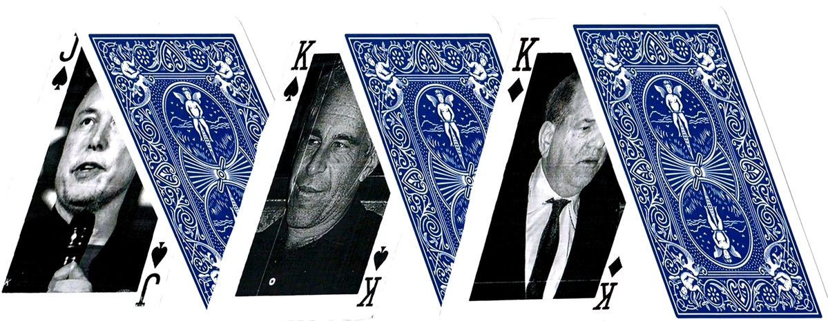 Bruno Jordán tweet media