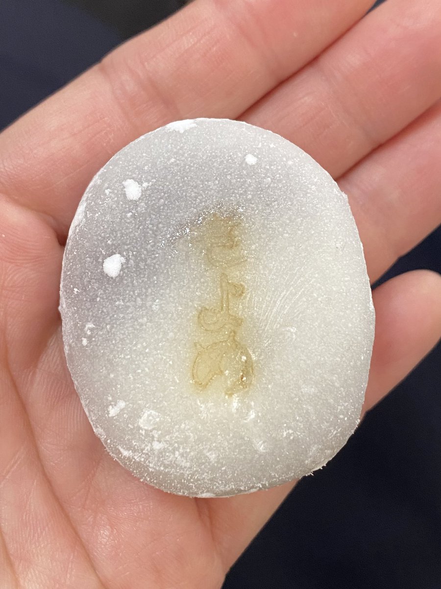 たぶんハト tweet media