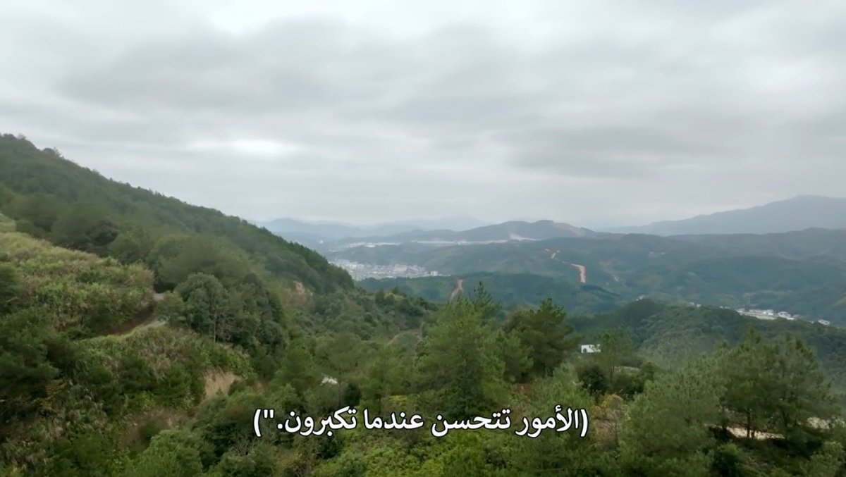 アルヤーム⚖️ tweet media