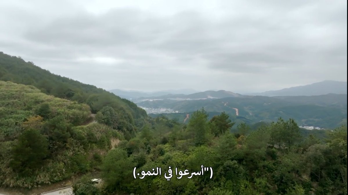 アルヤーム⚖️ tweet media